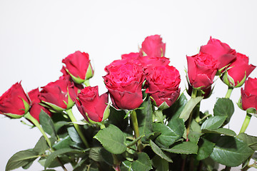 Image showing bouquet of red roses in a vase on white background