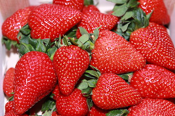 Image showing crate of strawberries isolated on white background