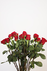 Image showing bouquet of red roses in a vase on white background