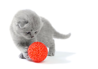 Image showing Little kitten playing with ball