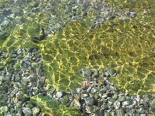 Image showing sea bottom with stones 