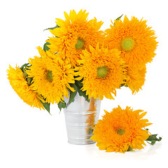 Image showing Sunflowers