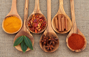 Image showing Spices and Herbs