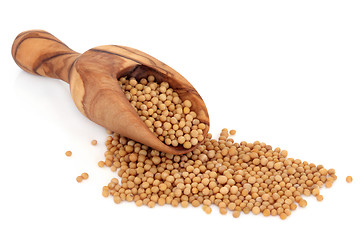 Image showing Mustard Seed