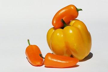 Image showing Peppers and paprika