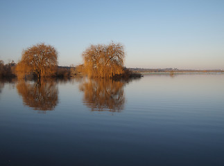 Image showing Trees reflections at dawn, during a winter river flood.