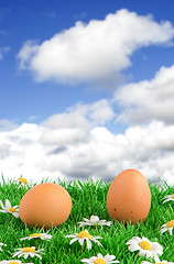 Image showing Two eggs with artificial grass