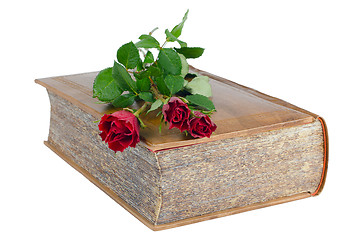 Image showing Red roses in a closed book