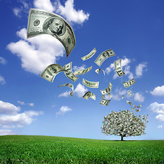 Image showing falling dollar bills from money tree