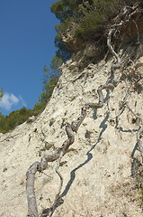 Image showing Erosion