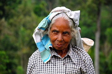 Image showing Portrait of Tamil Tea Picker