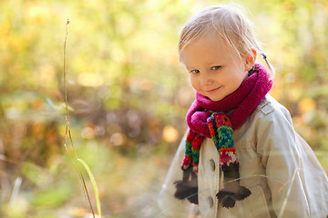 Image showing Toddler girl at autumn forest