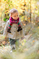 Image showing Toddler girl walking at autumn forest