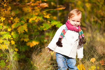 Image showing Toddler girl at autumn forest