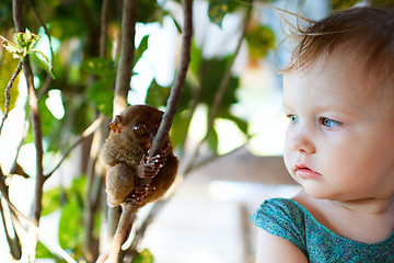 Image showing Girl and tarsier