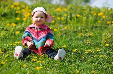 Image showing Spring Baby