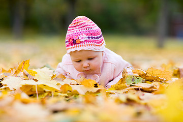Image showing Seasonal baby girl