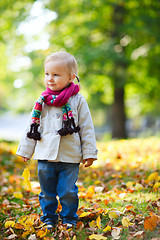 Image showing Toddler girl at autumn park