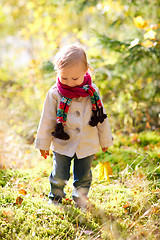 Image showing Toddler girl walking at autumn forest