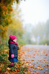 Image showing Foggy autumn day