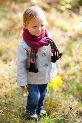 Image showing Toddler girl at autumn park