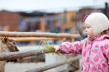 Image showing Girl at farm