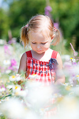 Image showing Little girl in meadow