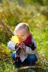 Image showing Toddler girl with yellow leaf