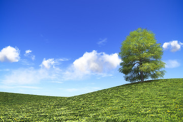 Image showing bright day in nature