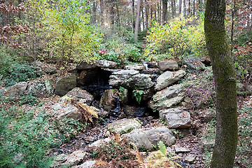 Image showing Small Spring