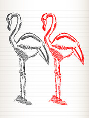 Image showing Flamingo sketch