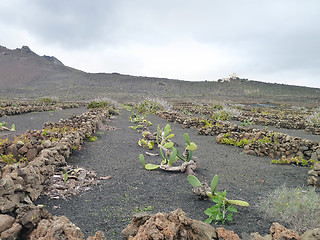 Image showing landscape at Lanzarote