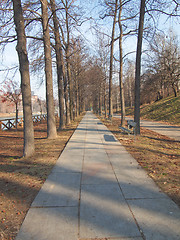 Image showing Path among trees