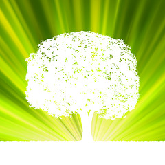 Image showing Tree with green burst for your design. EPS 8