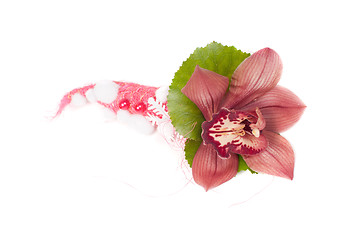 Image showing Orchid in studio