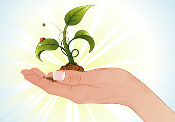 Image showing Woman Hand with the Sprout