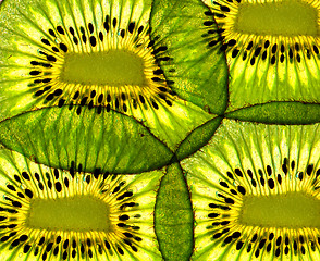 Image showing slice of kiwi 