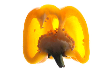 Image showing bellpepper