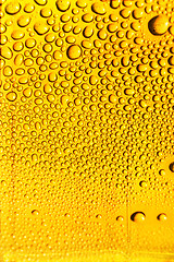 Image showing beer texture