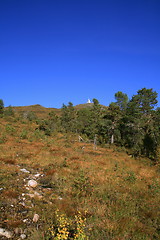 Image showing Molde autumn