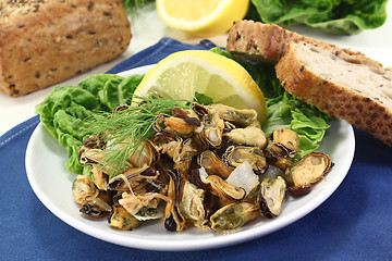 Image showing Mussels