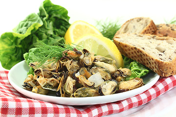 Image showing Mussels