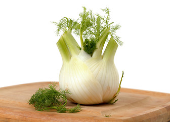 Image showing Fresh fennel