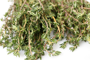 Image showing Fresh Thyme