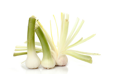 Image showing  pile of garlic shoots