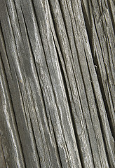 Image showing Old cracked wood