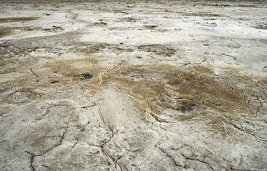 Image showing Salty land