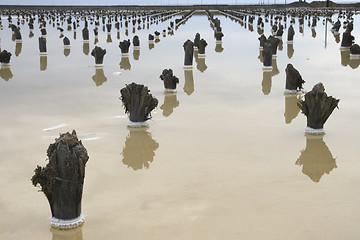 Image showing Salt lake Baskunchak