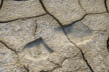 Image showing Footprint in dried earth