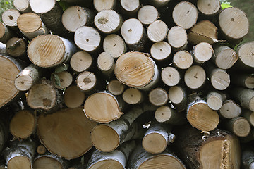 Image showing Wood stack background